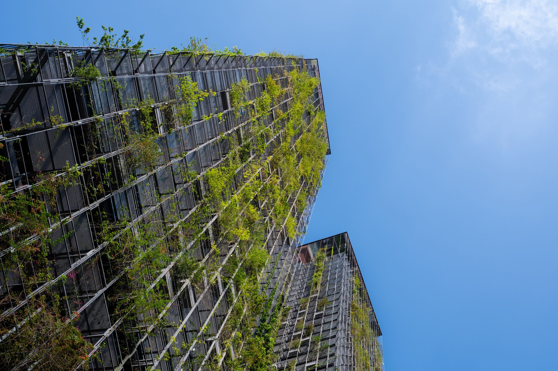 Modern architectural residential tower covered with living plants in sunny bright day